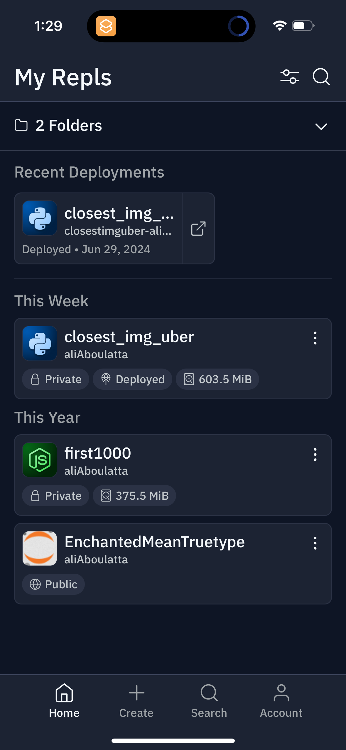 replit app screenshot 40